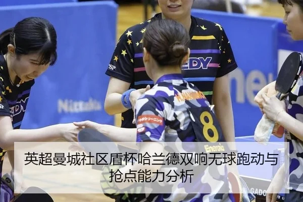 ying-chao-man-cheng-she-qu-dun-bei-ha-lan-de-shuang-xiang-wu-qiu-pao-dong-yu-qiang-dian-neng-li-fen-xi-3-273.jpg